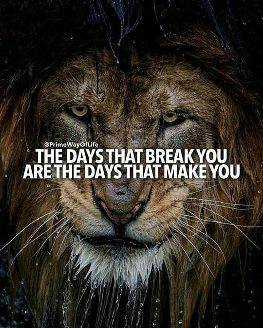 عکس استوری خاص