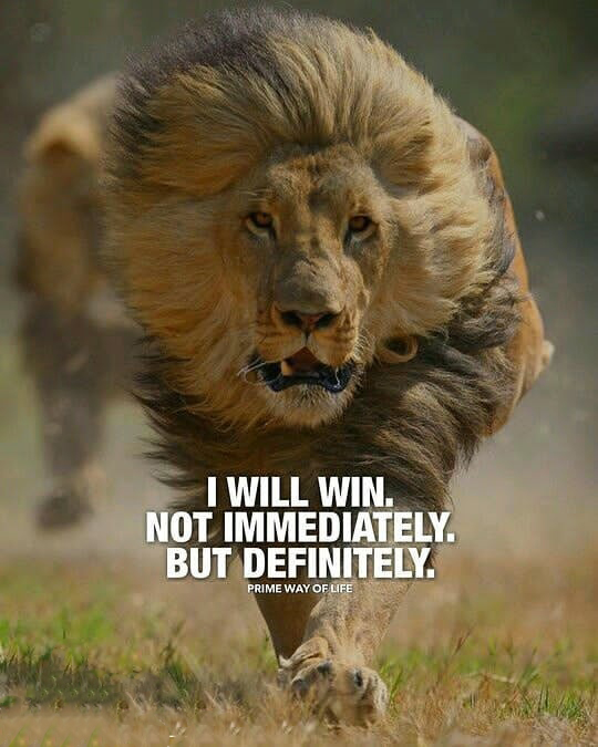 عکس استوری خاص