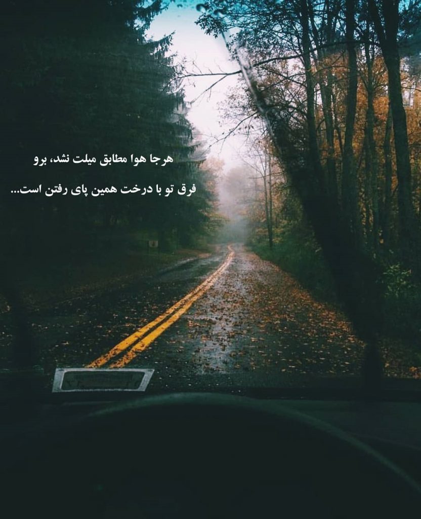 عکس استوری خاص