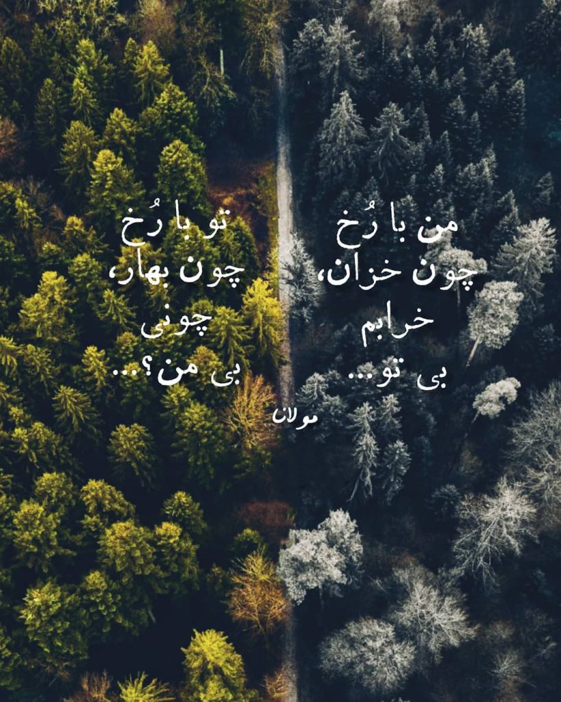 عکس استوری خاص