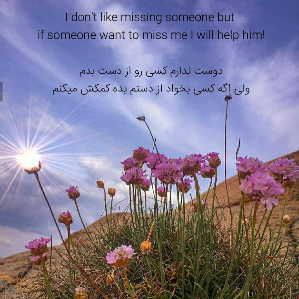 عکس استوری خاص